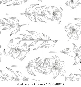 Seamless pattern with beautiful garden flowers - lilies. Coloring page with botanic objects for wrapping paper, cover of coloring book or textile design. Vector illustration