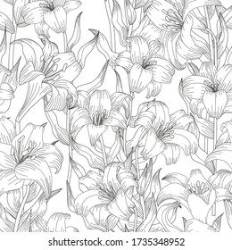Seamless pattern with beautiful garden flowers - lilies. Coloring page with botanic objects for wrapping paper, cover of coloring book or textile design. Vector illustration