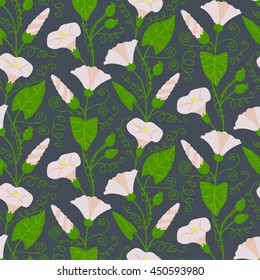 Seamless pattern with beautiful gentle bindweeds. It can be used for greeting cards, birthday cards, wedding invitations, wallpapers, textile, etc. Vector illustration