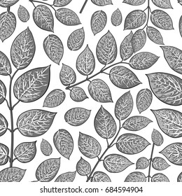 Seamless pattern of beautiful grey birch, honeysuckle leaves, twig, branches, sketch style vector illustration on white background. Hand drawn honeysuckle twig seamless pattern