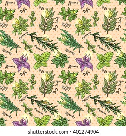 Seamless pattern with beautiful hand drawn vector  illustration of culinary herbs