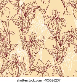 Seamless pattern with beautiful irises flowers, vector illustration
