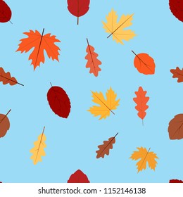 Seamless pattern of beautiful orange autumn leaves on blue sky background, vector hand draw illustration 