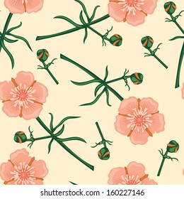 Seamless pattern with beautiful pink buttercup flower
