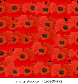 Seamless pattern of beautiful red poppies on a black background. Vector illustration, hand drawn.