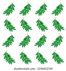Seamless pattern with beautiful rowan green leaves on white background. Autumn concept. Wallpaper with mountain ash.