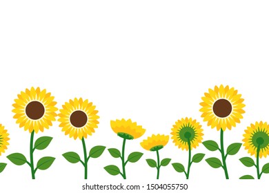 Seamless pattern of beautiful Sunflower Fields on white background, cheerful nature vector illustration. flat design