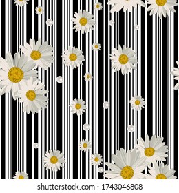 Seamless pattern with beautiful white daisy flowers on striped background.
