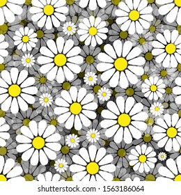 Seamless pattern. Beautiful white flowers on a black background. Replaceable colors. Vector drawing. Texture.