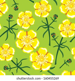 Seamless pattern with beautiful yellow buttercup flower