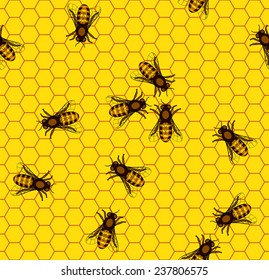 Seamless pattern of the bee on honeycombs background