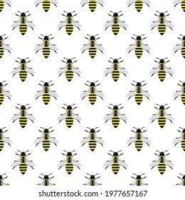 Seamless pattern with bees on white background. Vector illustration