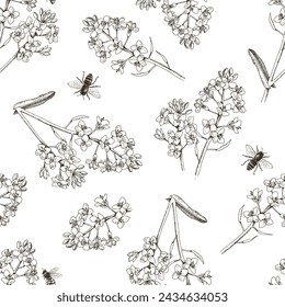 Seamless pattern with bees pollinating rapeseed