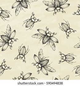 Seamless Pattern. Beetles background. Chafer. Vector illustration.
