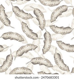 Nahtloses Muster mit beigen Bananenpalmenblättern. Tropisches Design. Botanische Illustration im realistischen Stil. Vektorgrafik Laub weißer Hintergrund.