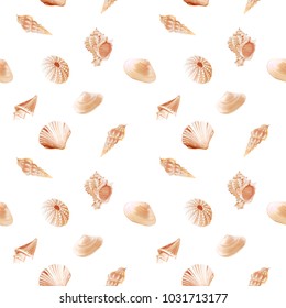 Seamless pattern with beige seashells. Vector illustration. Under the sea. Underwater life, urchin. Mollusc.