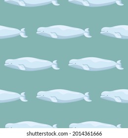 Seamless pattern Beluga on teal background. Template of cartoon character of ocean for children. Repeated simple texture with marine cetacean. Design for any purposes. Vector illustration.