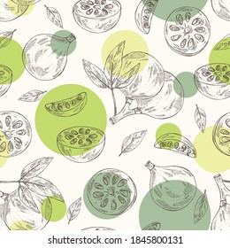 Seamless pattern with bengal quince: baile fruit and bengal quince slice. Sacred plant. Cosmetic and medical plant. Vector hand drawn illustration