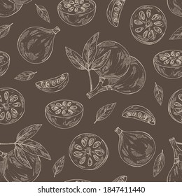 Seamless pattern with bengal quince: baile fruit and bengal quince slice. Sacred plant. Cosmetic and medical plant. Vector hand drawn illustration