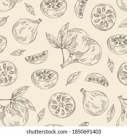 Seamless pattern with bengal quince: baile fruit and bengal quince slice. Sacred plant. Cosmetic and medical plant. Vector hand drawn illustration