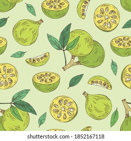 Seamless pattern with bengal quince: baile fruit and bengal quince slice. Sacred plant. Cosmetic and medical plant. Vector hand drawn illustration