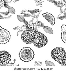 Seamless pattern with bergamot branches, fruit halfs and slices. Hand drawn botanical vector illustration.