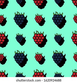 Seamless pattern with berrie. Blackberry and raspberry on cyan background. Endless vector background with summer fruits. Design for kitchen or garden print, texture. 