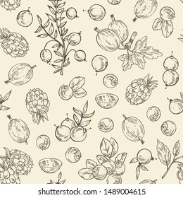 Seamless pattern with berries: bilberry, cranberry, blackberry and gooseberry. Vector hand drawn illustration.