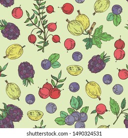 Seamless pattern with berries: bilberry, cranberry, blackberry and gooseberry. Vector hand drawn illustration.