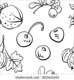 Seamless pattern with berries in black line sketchy style isolated on white background. Doodle hand drawn vector illustration