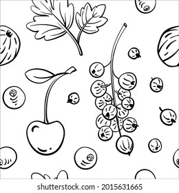 Patrón sin foco con bayas en línea negra estilo esquemático aislado en el fondo blanco. Ilustración vectorial dibujada a mano de Doodle