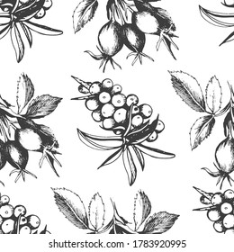 Seamless pattern of berries. Hand-drawn on a white background. Vector graphics