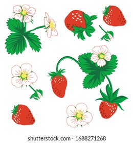 Seamless pattern of berries, leaves and strawberry flowers. vector illustration. Strawberry vector pattern background. Set flower, petal, strawberry. EPS 10.