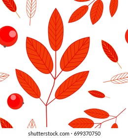 Seamless pattern of berries and red leaves of mountain ash on a white 
background. Ashberry. Autumn background. Vector