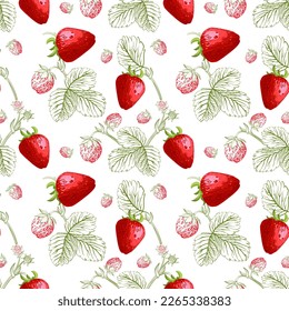 Patrón sin foco con bayas de fresa sobre fondo blanco. Ilustración vectorial. Plantilla para diseño de cocina, embalaje para alimentos, papel, textiles.