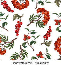 Seamless pattern with berries, such as rowan, blueberries and other. Vector