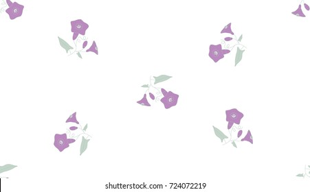 Seamless pattern of the bindweed on a white background