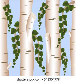Seamless pattern with birch