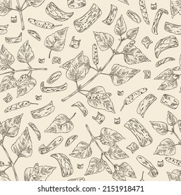 Seamless pattern with birch: birch leaves, birch branch, betulaceae tree and betulaceae bark. Cosmetics and medical plant. Vector hand drawn illustration.