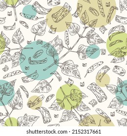 Seamless pattern with birch: birch leaves, birch branch, betulaceae tree and betulaceae bark. Cosmetics and medical plant. Vector hand drawn illustration.