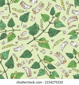 Seamless pattern with birch: birch leaves, birch branch, betulaceae tree and betulaceae bark. Cosmetics and medical plant. Vector hand drawn illustration.