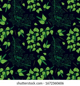 seamless pattern. Birch tree branch with leaves and buds. eps10 vector stock illustration. hand drawing
