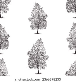Seamless pattern of birch tree sketches