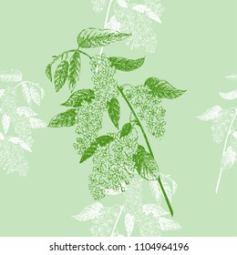 Seamless Pattern with Bird Cherry. Sketches of spring flowers. Vector Illustration