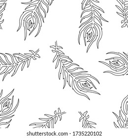 Seamless pattern of bird feathers. Vector illustration on white background.