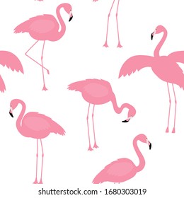 Seamless pattern bird flamingo vector