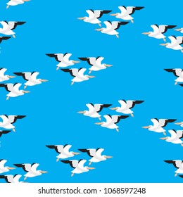 seamless pattern of a bird, a flock of pelicans flying in the sky