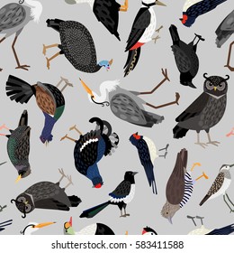 Seamless pattern with birds: blackcock, owl, cuckoo, swallow, heron, sandpiper, magpie, starling, raven 