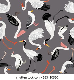 Seamless pattern with birds: crane, pelican, swan, albatross  on dark background