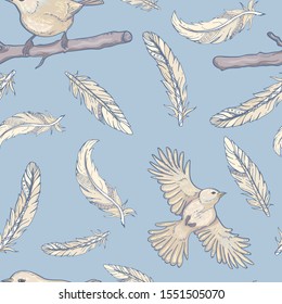 Seamless pattern with birds and feathers
